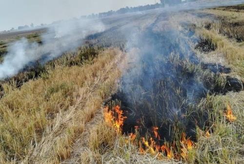 وقوع بیش از ۳۰ حادثه آتش سوزی در مراتع و منابع طبیعی خوزستان