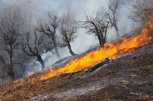 بیشتر از ۳۹۰ هکتار از اراضی و جنگل های خوزستان خسارت دیدند