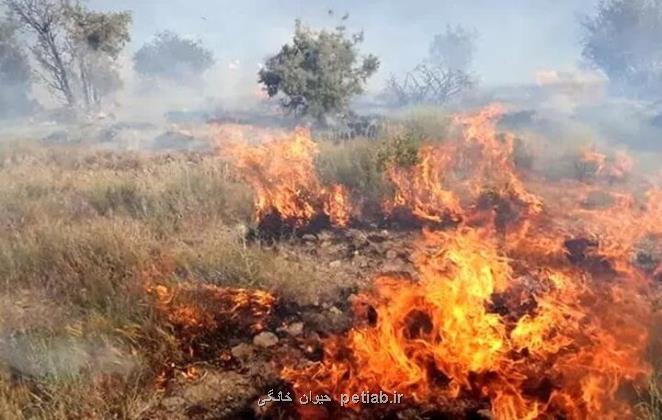 آتشسوزی در مراتع بغنه بزرگ شرقی دامغان رخ داد