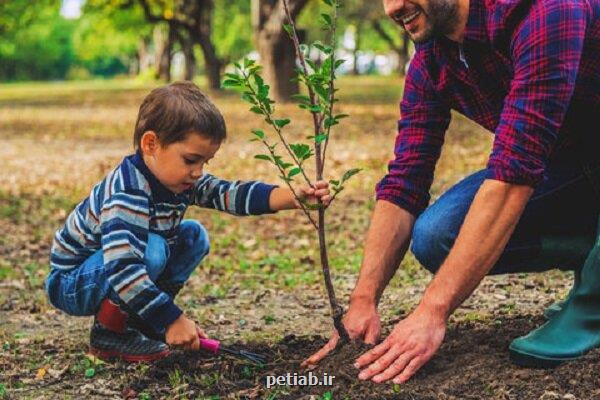 قدمهای بزرگ جهت راه اندازی نهالستان