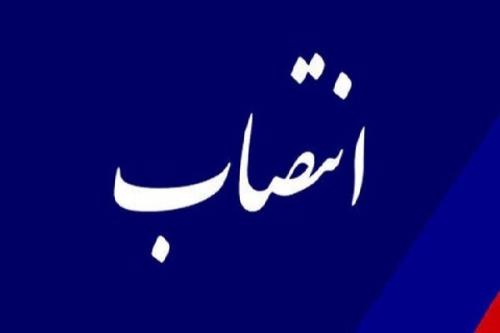 اعضاء امور فرهنگی سازمان حفاظت محیط زیست منصوب شدند