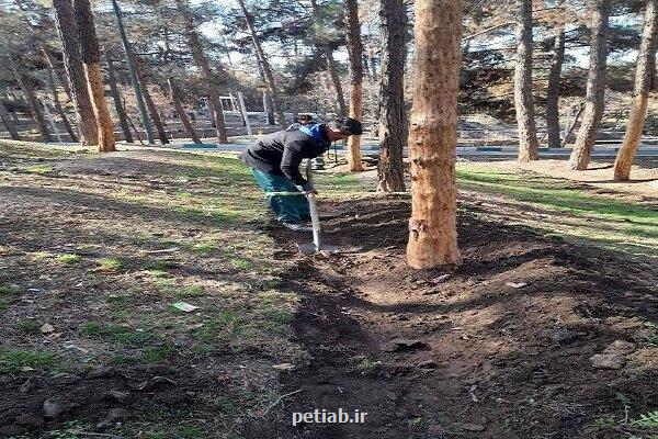 لایروبی انهار و بهبود فضای سبز بوستان جنگلی سرخه حصار